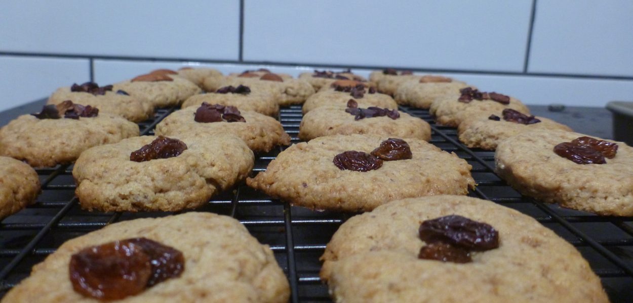 Baked Basic Healthy Biscuit 2  (2)